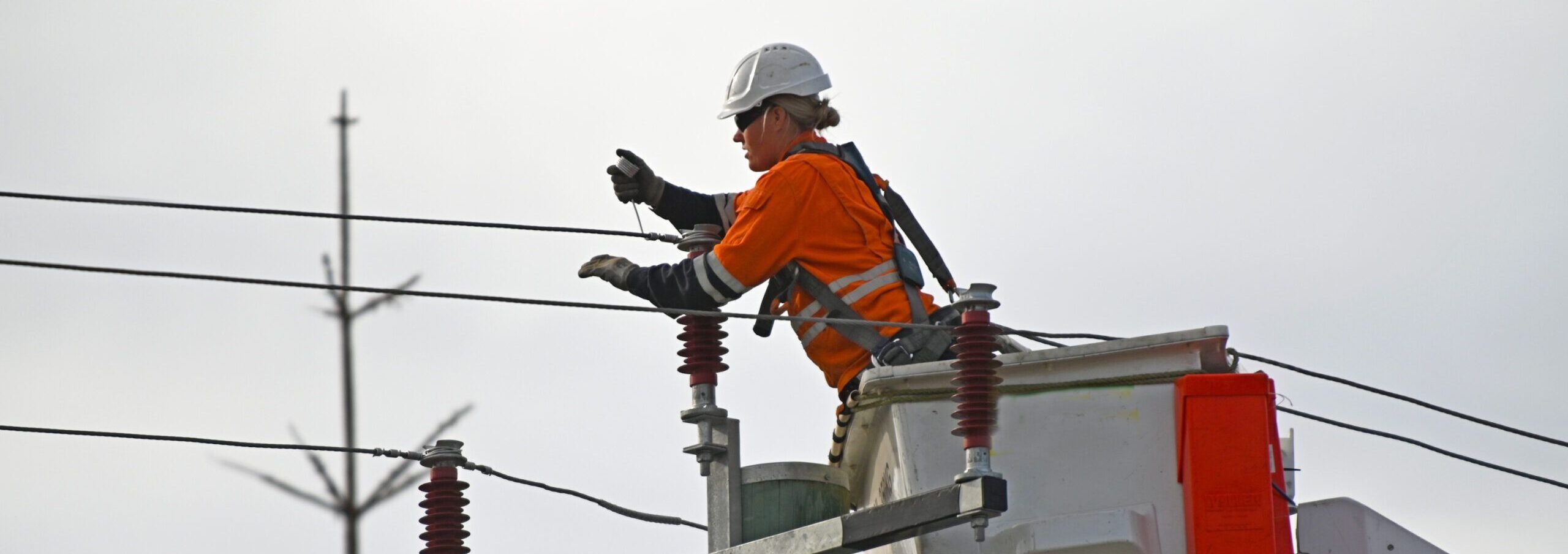 Barquillas elevadoras